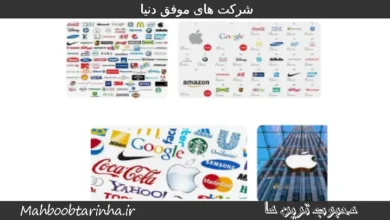 شرکت های موفق دنیا